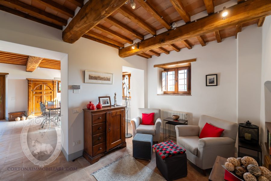 Villa with pool and garden