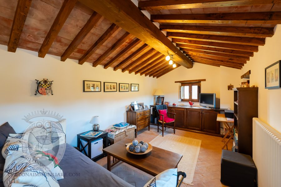 Villa with pool and garden