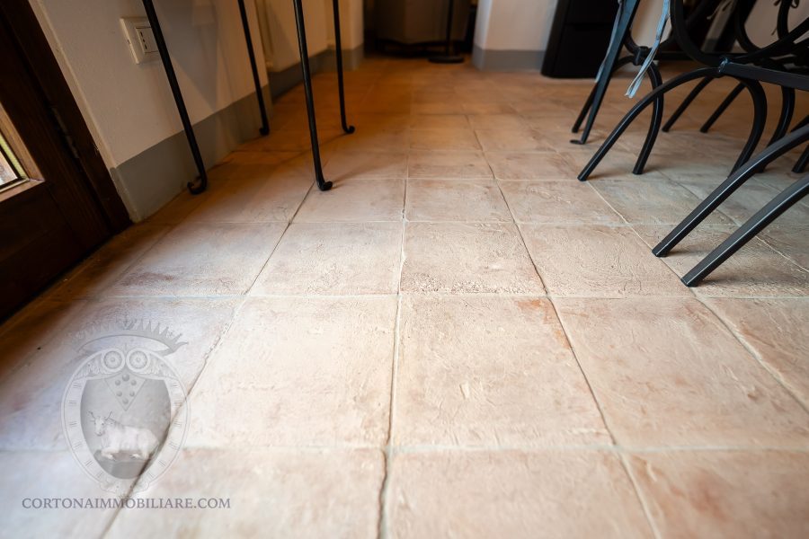 Villa with pool and garden