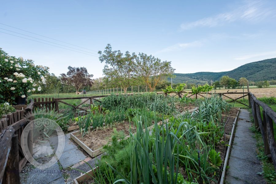Villa with pool and garden