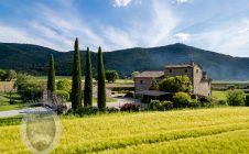 Villa with pool and garden