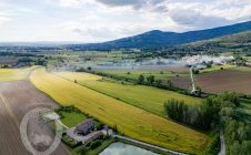 Villa with pool and garden