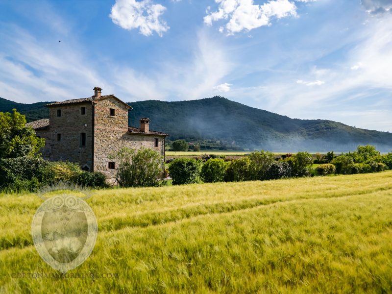 Villa con piscina e giardino