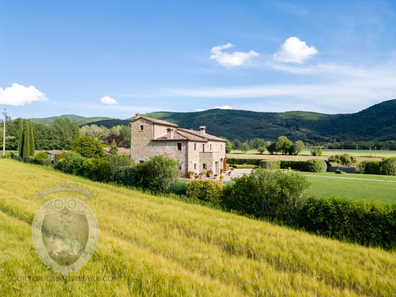 Villa with pool and garden