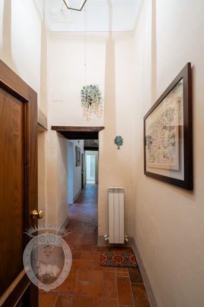 Apartment in the center