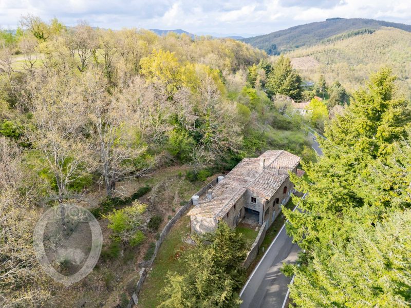 Colonica con terreno