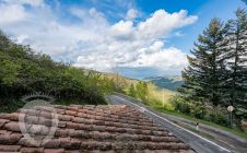 Colonica con terreno