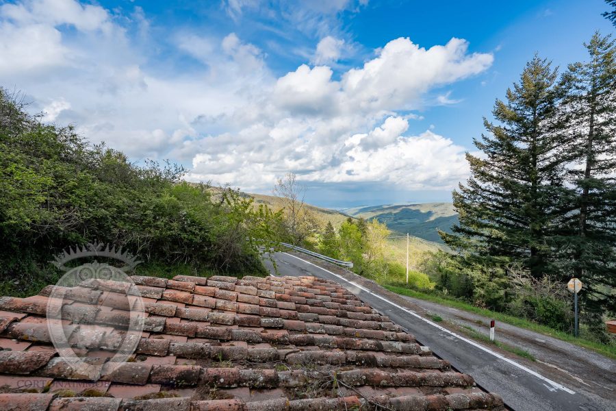 Colonica con terreno