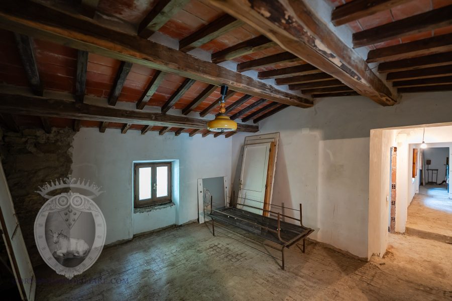 Colonica con terreno