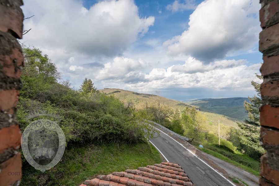 Colonica con terreno