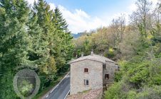 Colonica con terreno