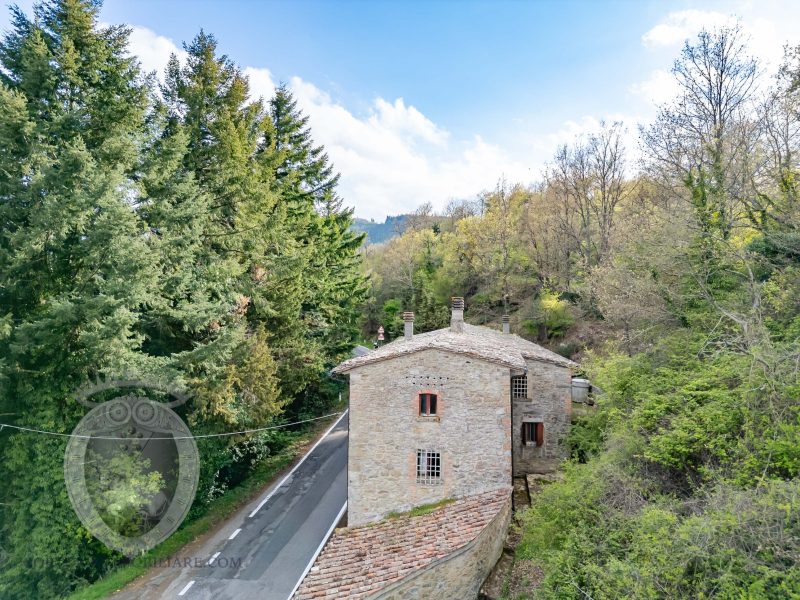 Colonica con terreno