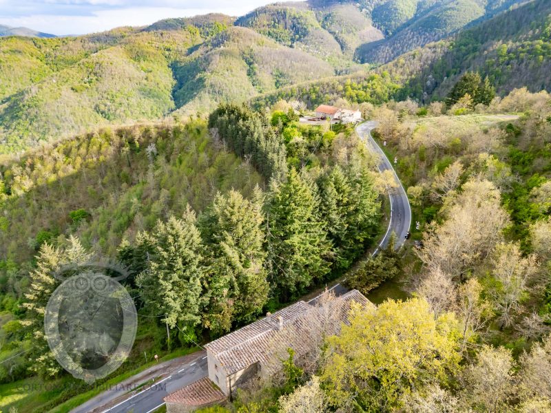Colonica con terreno
