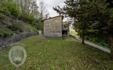 Colonica con terreno