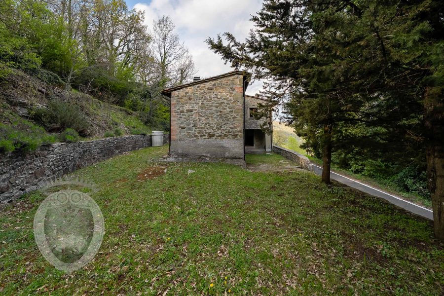 Colonica con terreno