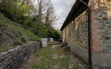 Colonica con terreno