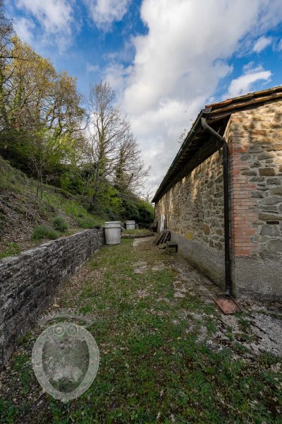 Colonica con terreno
