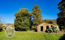 Farmhouse with annexes