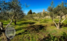 Casale con annessi