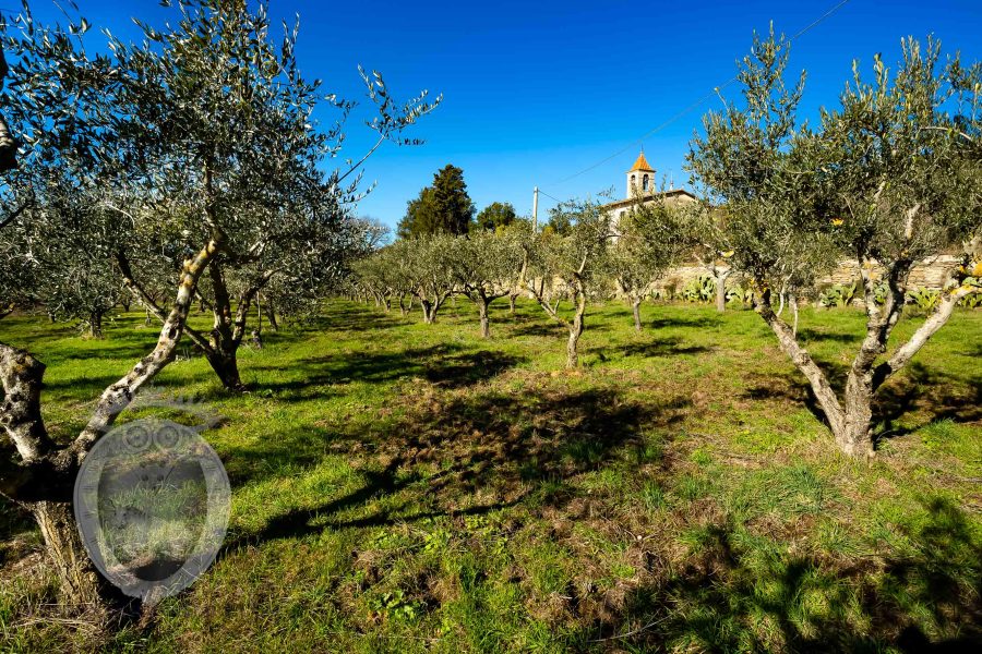 Casale con annessi