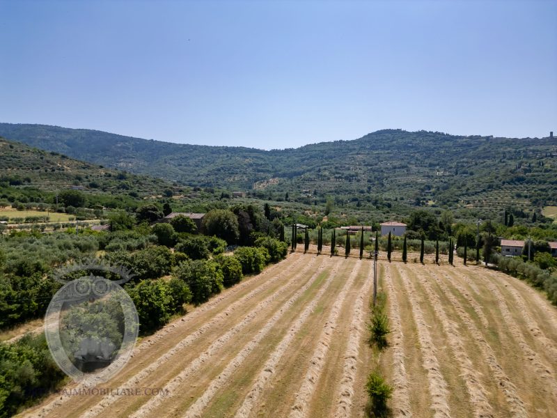 Casale con annessi