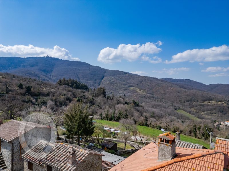 Stone farmhouse with annex and swimming pool