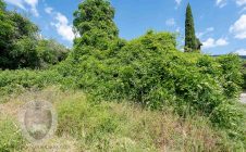 Casale con annesso