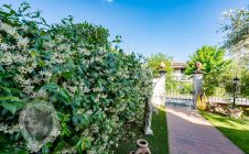Casa indipendente con giardino