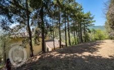 Villa con annesso e terreno