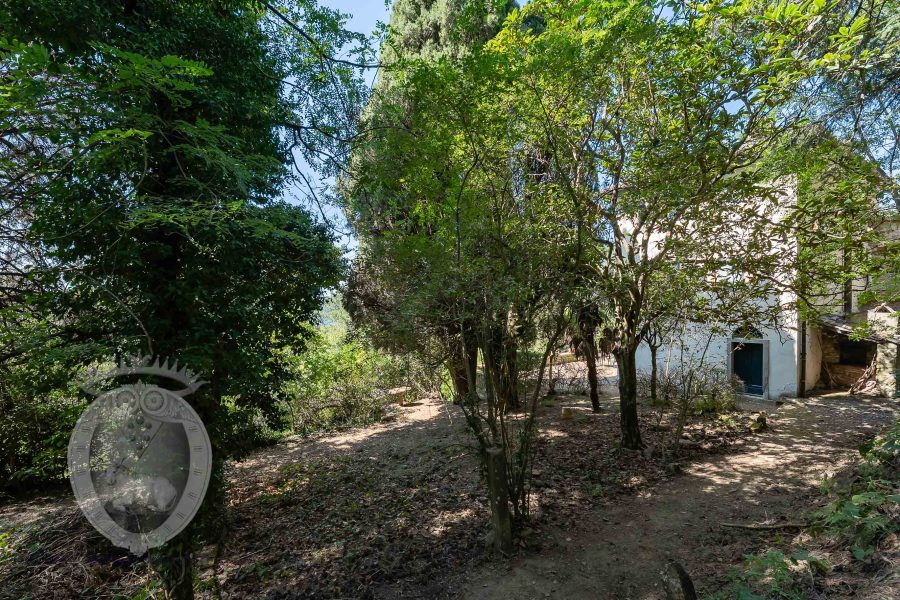 Villa with annex and land