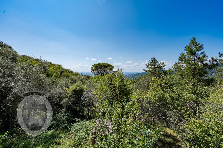 Villa con annesso e terreno