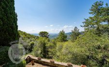 Villa con annesso e terreno