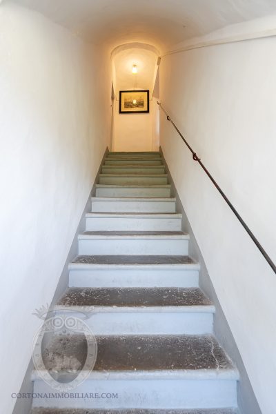 Villa con annesso e terreno