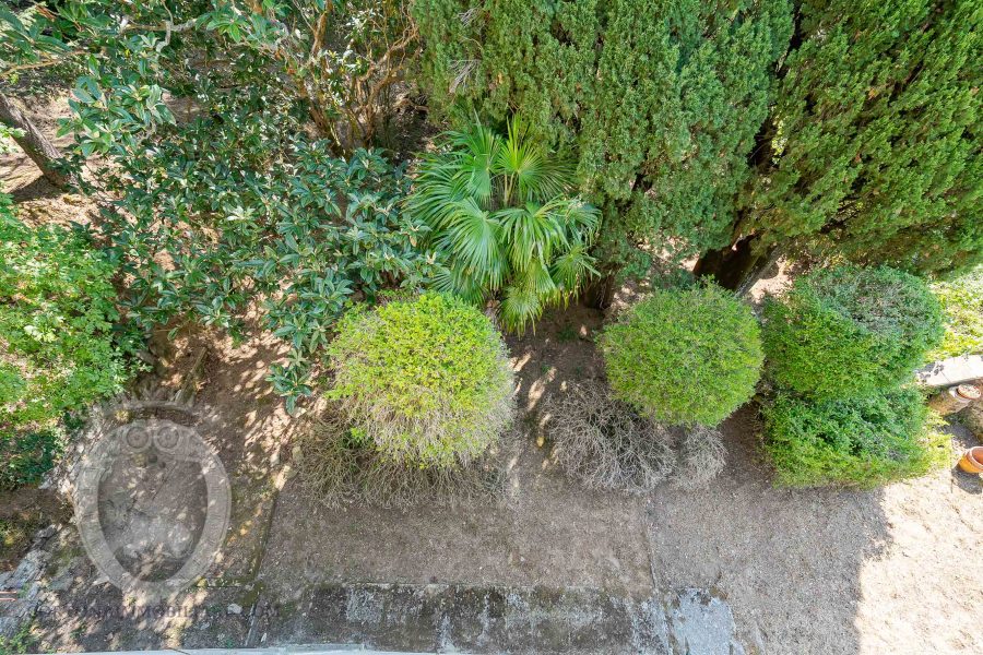 Villa con annesso e terreno