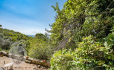 Villa con annesso e terreno