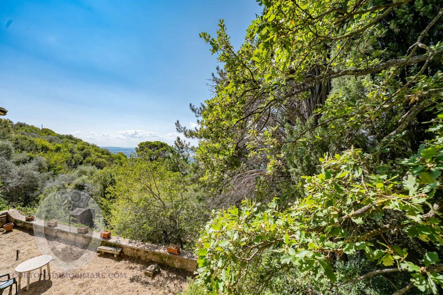 Villa con annesso e terreno