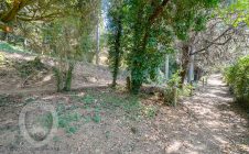 Villa con annesso e terreno