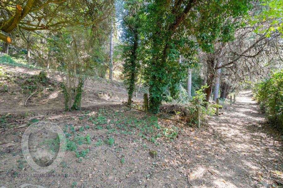 Villa con annesso e terreno