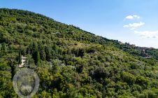 Villa con annesso e terreno
