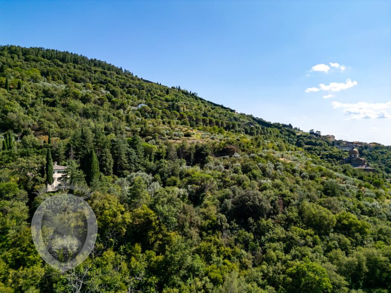 Villa con annesso e terreno