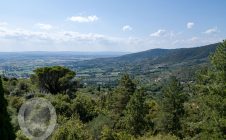 Villa con annesso e terreno