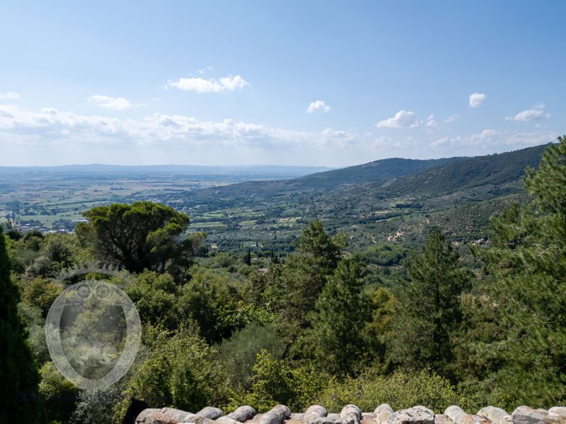 Villa con annesso e terreno
