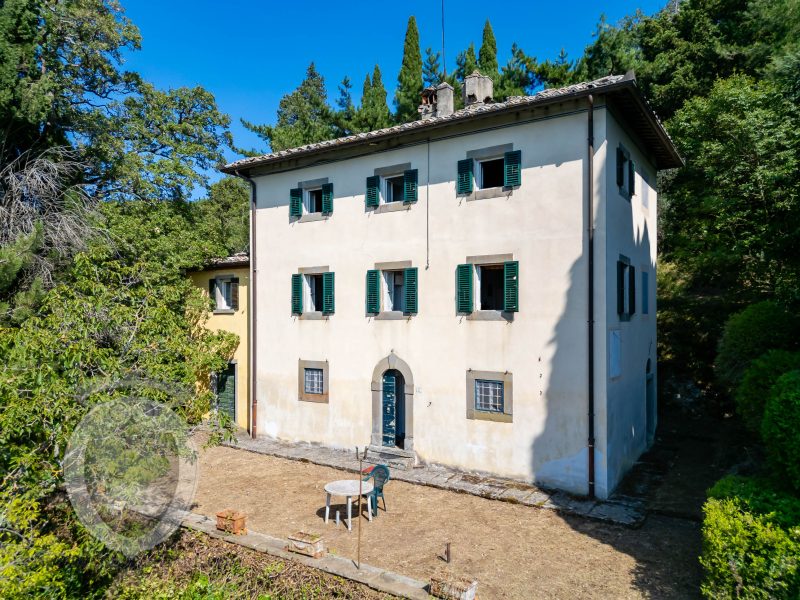 Villa with annex and land