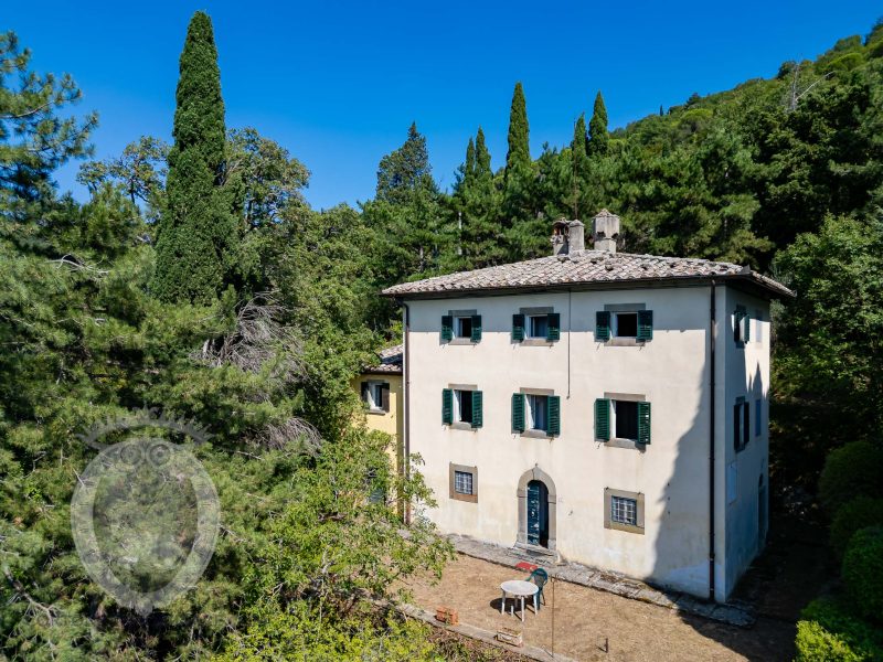 Villa with annex and land