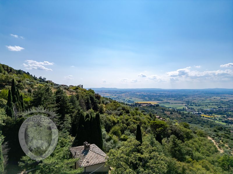 Villa con annesso e terreno