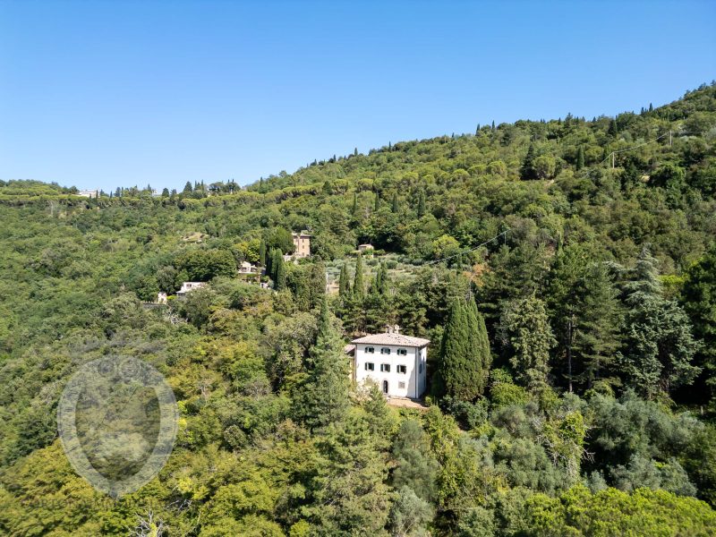 Villa with annex and land
