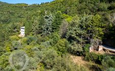 Villa con annesso e terreno