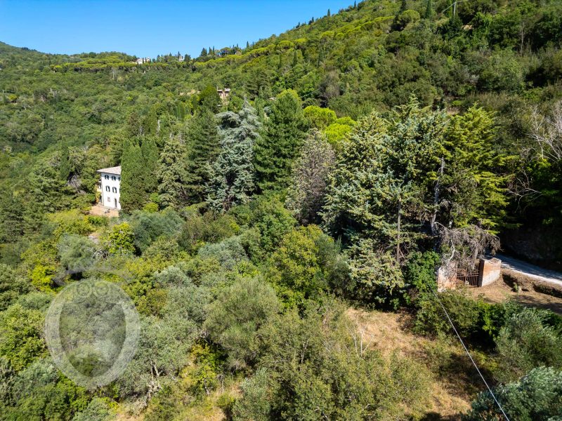 Villa con annesso e terreno
