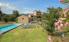 Villa stellata con piscina