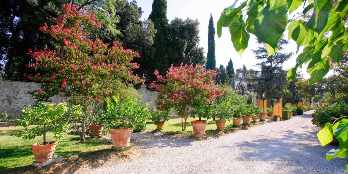 Villa Nobile con piscina e annessi